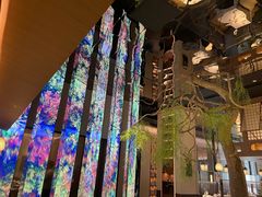 -桂满陇·海市蜃楼·黑金(国金店)