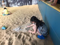 -恐龙探索乐园(磁器口店)