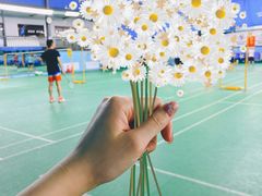 -侨飞羽毛球馆