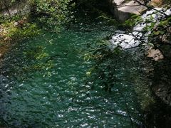 -大鄣山卧龙谷景区
