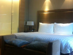 iphone_upload_pic-上海浦东滨江喜来登酒店