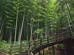 -天目湖山水园