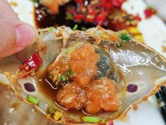 生腌蟹-长平肥姐白粥·海鲜打冷
