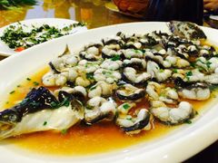 -呼吸森林·生态农庄农家乐私房菜