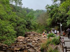 -广州白江湖森林公园