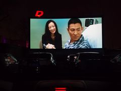 -枫花园汽车电影院(朝阳公园店)