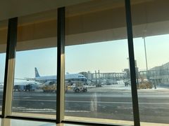 -哈尔滨太平国际机场-T2航站楼