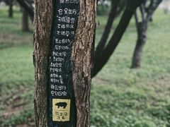 -长白岛森林公园