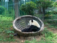 -大连森林动物园