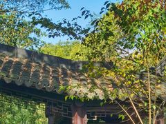 -上海佘山国家森林公园天马山园