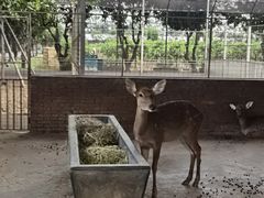 -迪茵湖田家舍生态农场