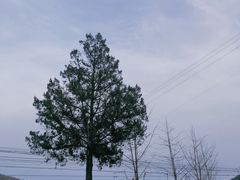 -黑龙潭风景区