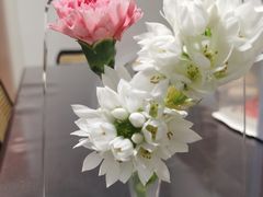 -海底捞火锅(金地广场生日主题店)
