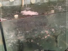 -天发长铁锅炖(王秀村店)