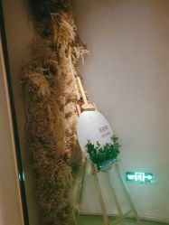-依霖·艺术·SPA