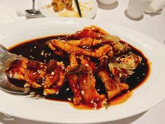 -南麓·浙里(外滩店)