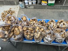 -松州古城