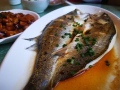 -上海市保健医疗中心