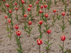 android_upload_pic-漩门湾国家湿地公园