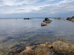 -养马岛旅游度假区