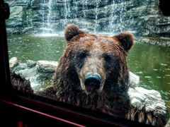 -北京野生动物园