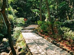 -雁荡山三折瀑景区