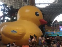 -天山海世界·米立方