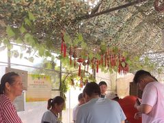 -马陆小张葡萄园农家乐