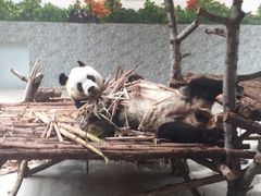 -西安秦岭野生动物园