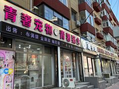 -青奢宠物·青奢猫舍