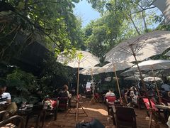 -Fern Forest Cafe