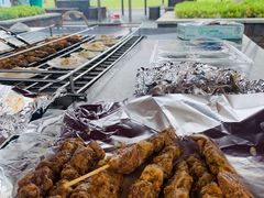 -春花秋色城市公园