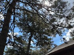 -承德避暑山庄景区