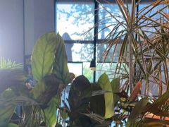 -West10 西拾·西餐厅·创意菜(未来科技城店)