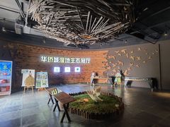 -华侨城湿地公园