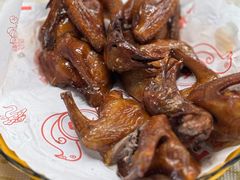 -百利鸽王(紫薇路店)