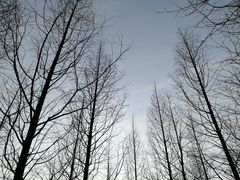 -白塘生态植物园