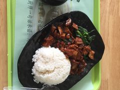-上海野生动物园老虎餐厅
