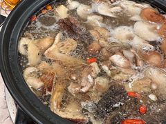 -蘑统田下·野生菌火锅