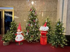 -乐天免税店(明洞店)