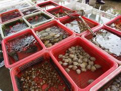 -东山码头