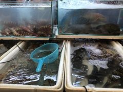 -班赞海鲜市场