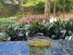 -国生茶庄·地道农家菜团建活动