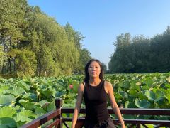 -合肥滨湖国家森林公园