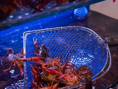 -虾铺子龙虾·私房菜(金源花苑店)