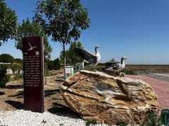 -南大港湿地风景区