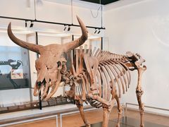 -丹麦国家博物馆