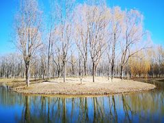 -东郊湿地公园