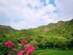 -雁荡山风景名胜区