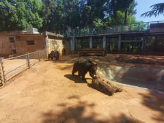 -昆明动物园